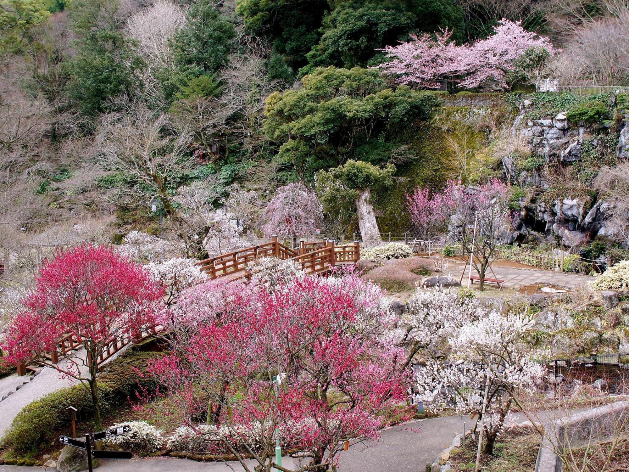 Mujuan Aparthotel Atami  Exterior photo